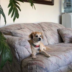 Meet your Posher, Barbara